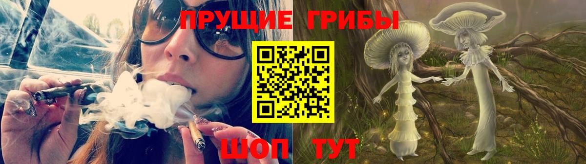 Галлюциногенные грибы Psilocybine cubensis  Галлюциногенные грибы Cubensis  сколько стоит  Пятигорск  Вход с VPN 